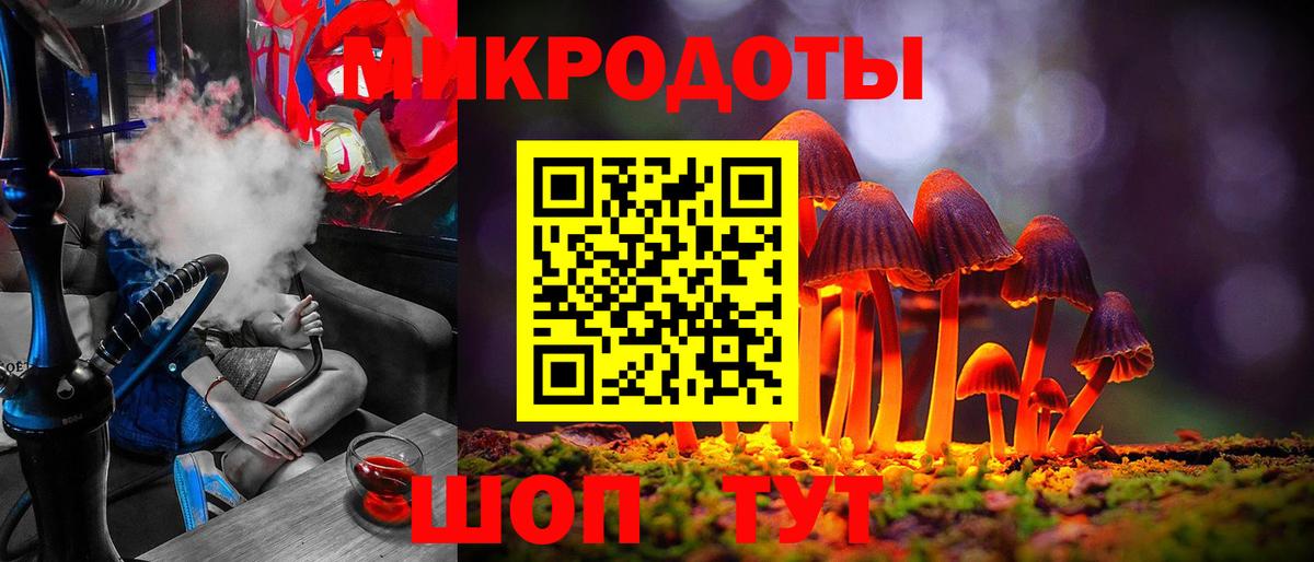Псилоцибиновые грибы GOLDEN TEACHER Прохладный