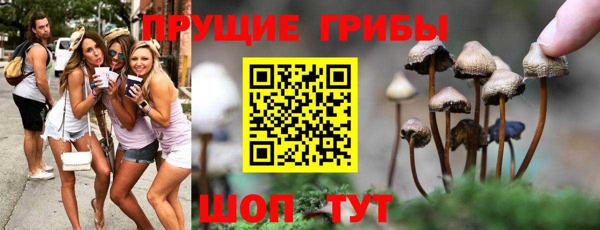 Галлюциногенные грибы мицелий  Вход с VPN  Прохладный 
