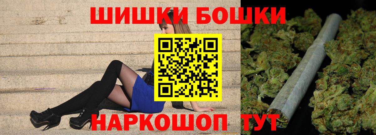 Канабис планчик Прохладный